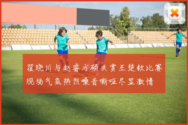 翟晓川与赵睿方硕共赏王楚钦比赛现场气氛热烈嗓音嘶哑尽显激情