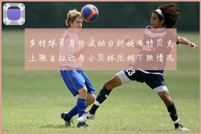 多特球员身价波动分析施洛特贝克上涨吉拉西与小贝林厄姆下跌情况解读