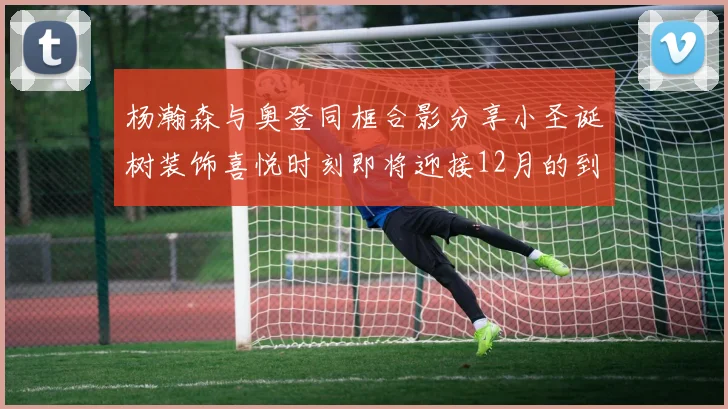 杨瀚森与奥登同框合影分享小圣诞树装饰喜悦时刻即将迎接12月的到来